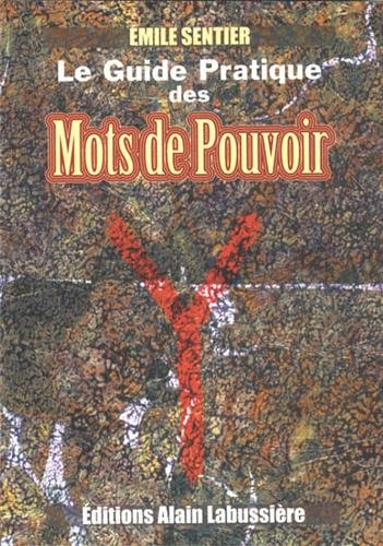 le guide pratique des mots de pouvoir : des pantacles runiques pour faire face à des situations exig