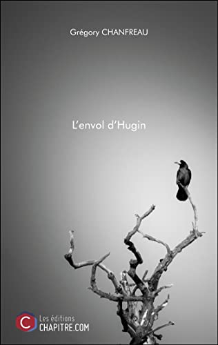 L'envol d'Hugin