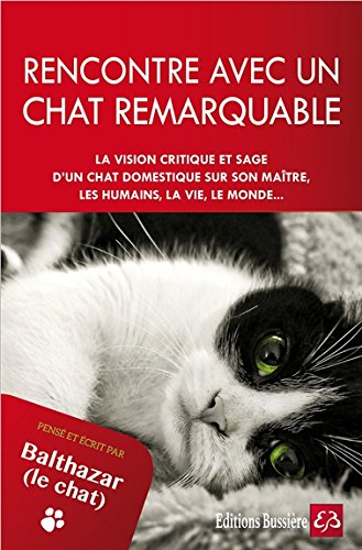 Rencontre avec un chat remarquable : la vision critique et sage d'un chat domestique sur son maître,