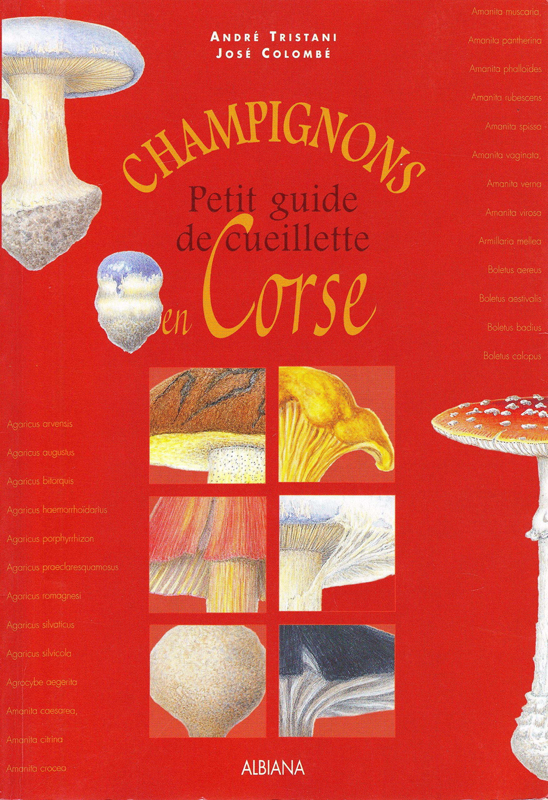Champignons : petit guide de cueillette de Corse