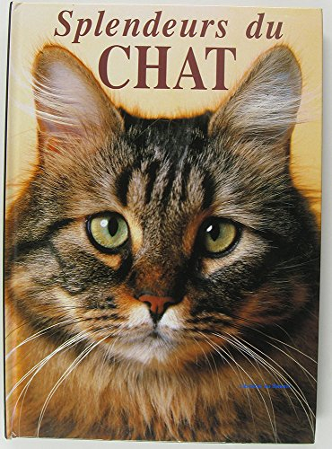 Splendeurs du chat