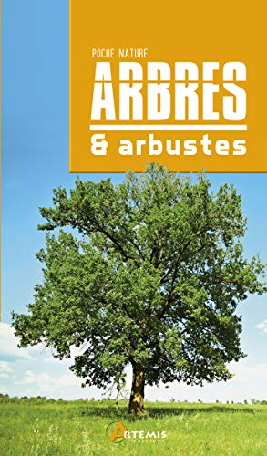 Arbres et arbustes