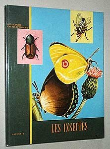 les insectes