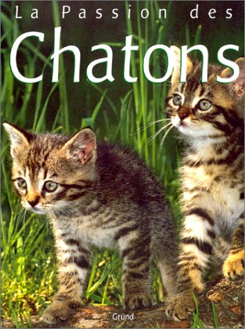 Les Chatons