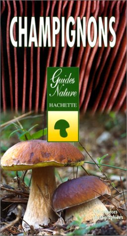 Les champignons : identification et observation