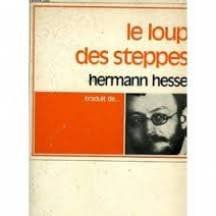 le loup des steppes