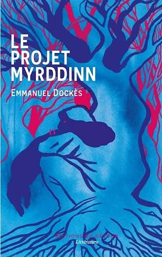 Le projet Myrddinn