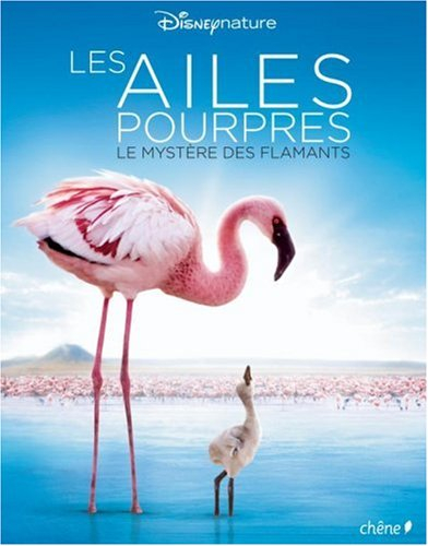 Les ailes pourpres : le mystère des flamants