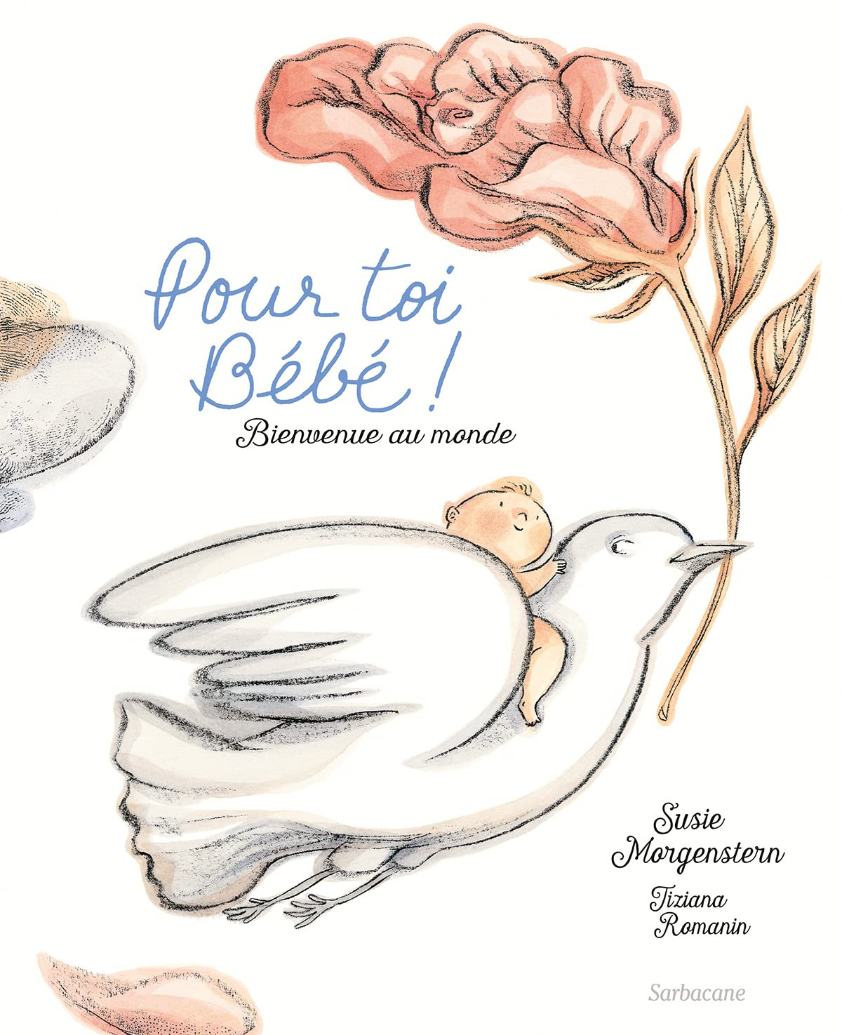 Pour toi bébé ! : bienvenue au monde
