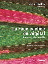 La face cachée du végétal : dessine-moi une feuille