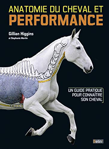 Anatomie du cheval et performance : un guide pratique pour connaître son cheval