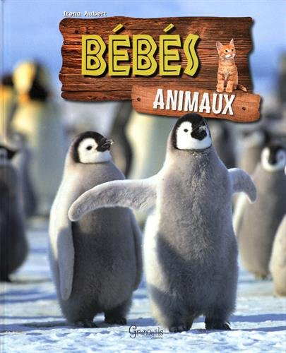Bébés animaux
