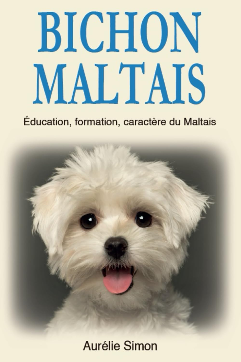 Bichon Maltais: Education, Formation, Caractère du Maltais