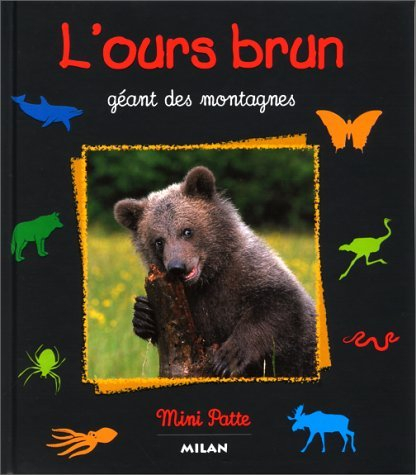 l'ours brun : géant des montagnes