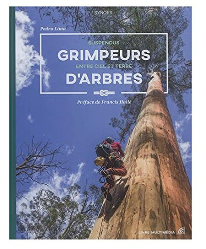Grimpeurs d'arbres : suspendus entre ciel et terre
