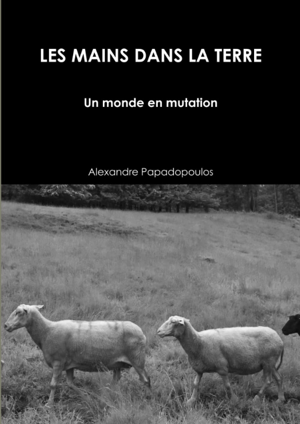 LES MAINS DANS LA TERRE