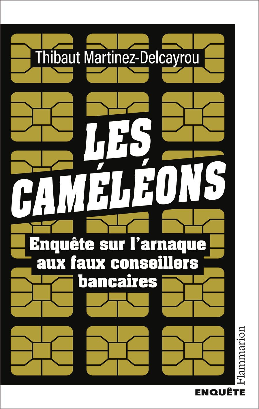 Les caméléons : enquête sur l'arnaque aux faux conseillers bancaires