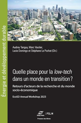 Quelle place pour la low-tech dans un monde en transition ? : retours d'acteurs de la recherche et d