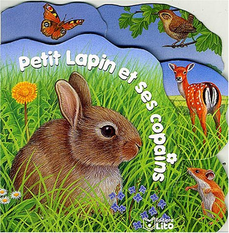 Petit lapin et ses copains