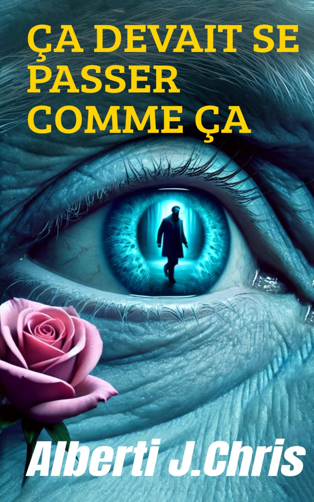 Ça devait se passer comme ça