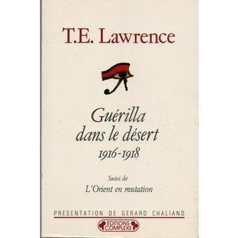 Guérilla dans le désert : 1916-1918. L'Orient arabe en mutation