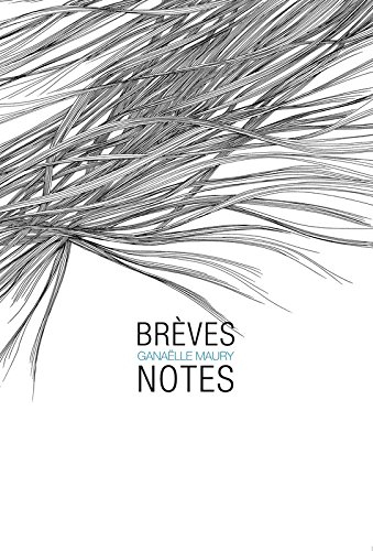Brèves notes
