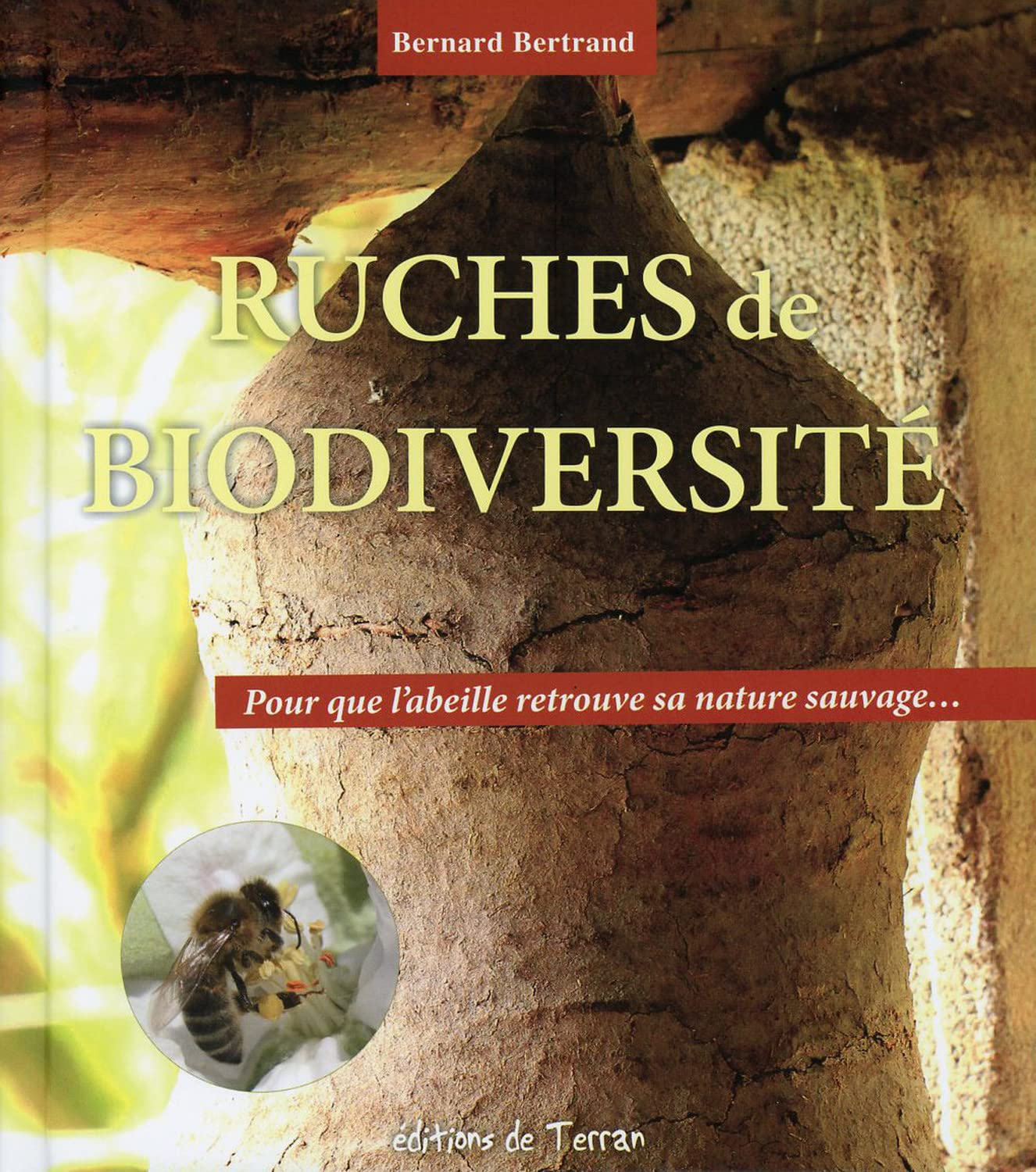 Ruches de biodiversité : pour que l'abeille retrouve sa nature sauvage...