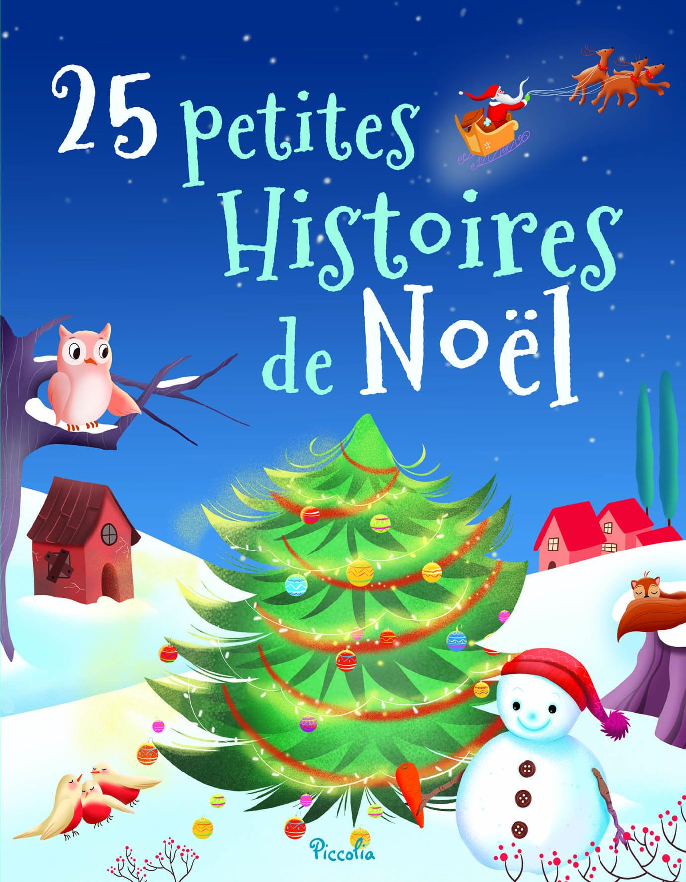 25 petites histoires de Noël