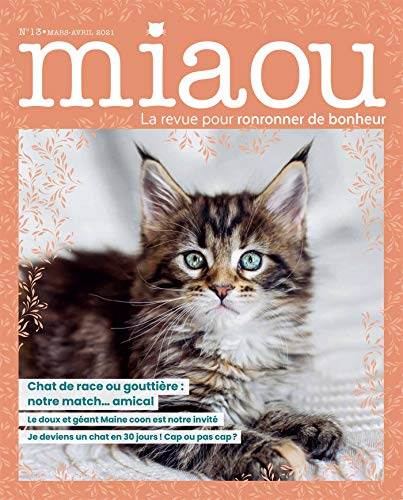 Miaou : pour ronronner de bonheur, n° 13. Chat de race ou gouttière : notre match... amical
