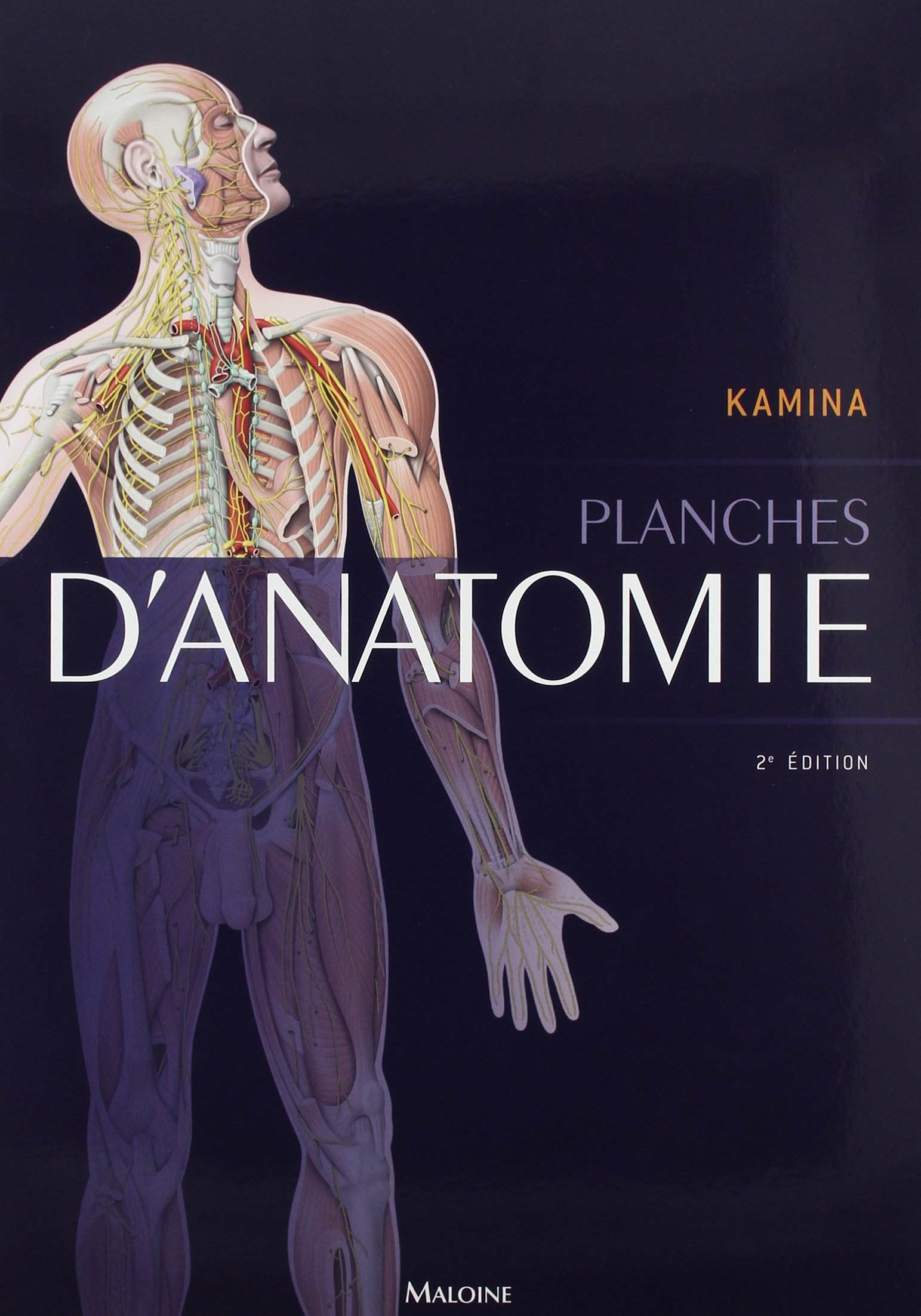 Planches d'anatomie humaine