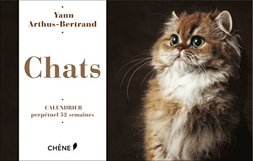 Chats : calendrier perpétuel 52 semaines