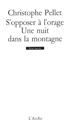 S'opposer à l'orage. Une nuit dans la montagne