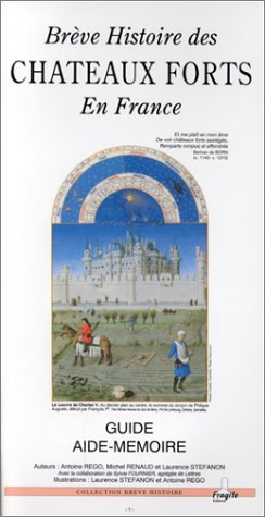 Brève histoire des châteaux forts en France : guide aide-mémoire