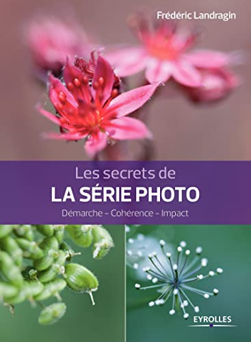 Les secrets de la série photo : démarche, cohérence, impact
