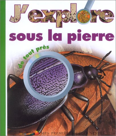 J'explore sous la pierre de tout près
