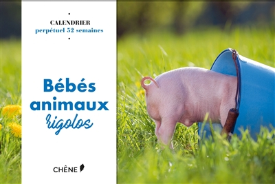 Bébés animaux rigolos : calendrier perpétuel 52 semaines