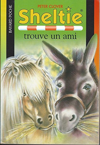 sheltie trouve un ami
