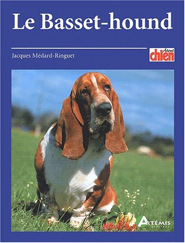 Le basset-hound