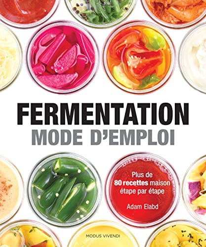 Fermentation : mode d'emploi : plus de 80 recettes maison étape par étape