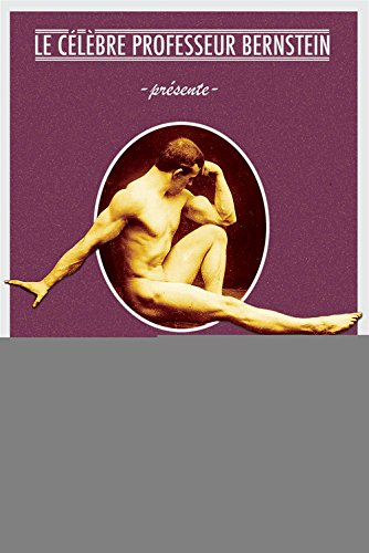 Le célèbre professeur Bernstein présente : instantanés d'humour photo-textuel