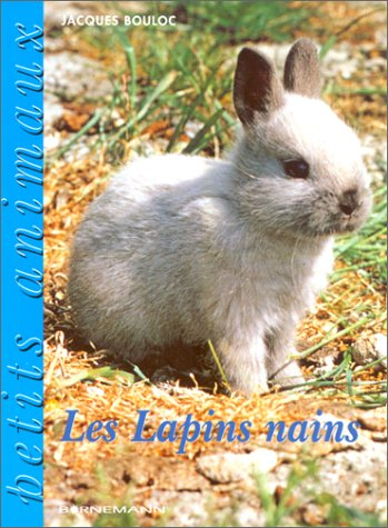 Les lapins nains