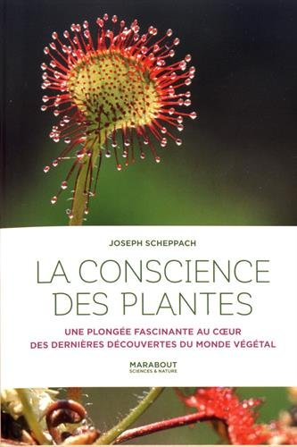 La conscience des plantes : une plongée fascinante au coeur des dernières découvertes du monde végét