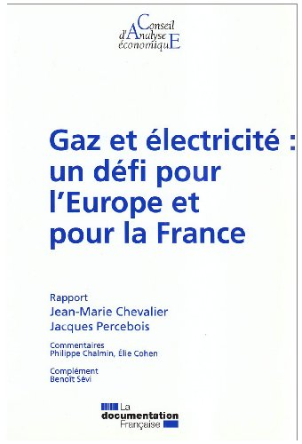 Gaz et électricité : un défi pour l'Europe et pour la France