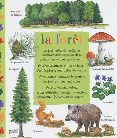 La forêt