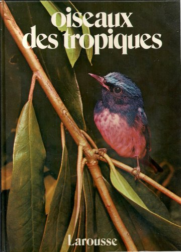 oiseaux des tropiques