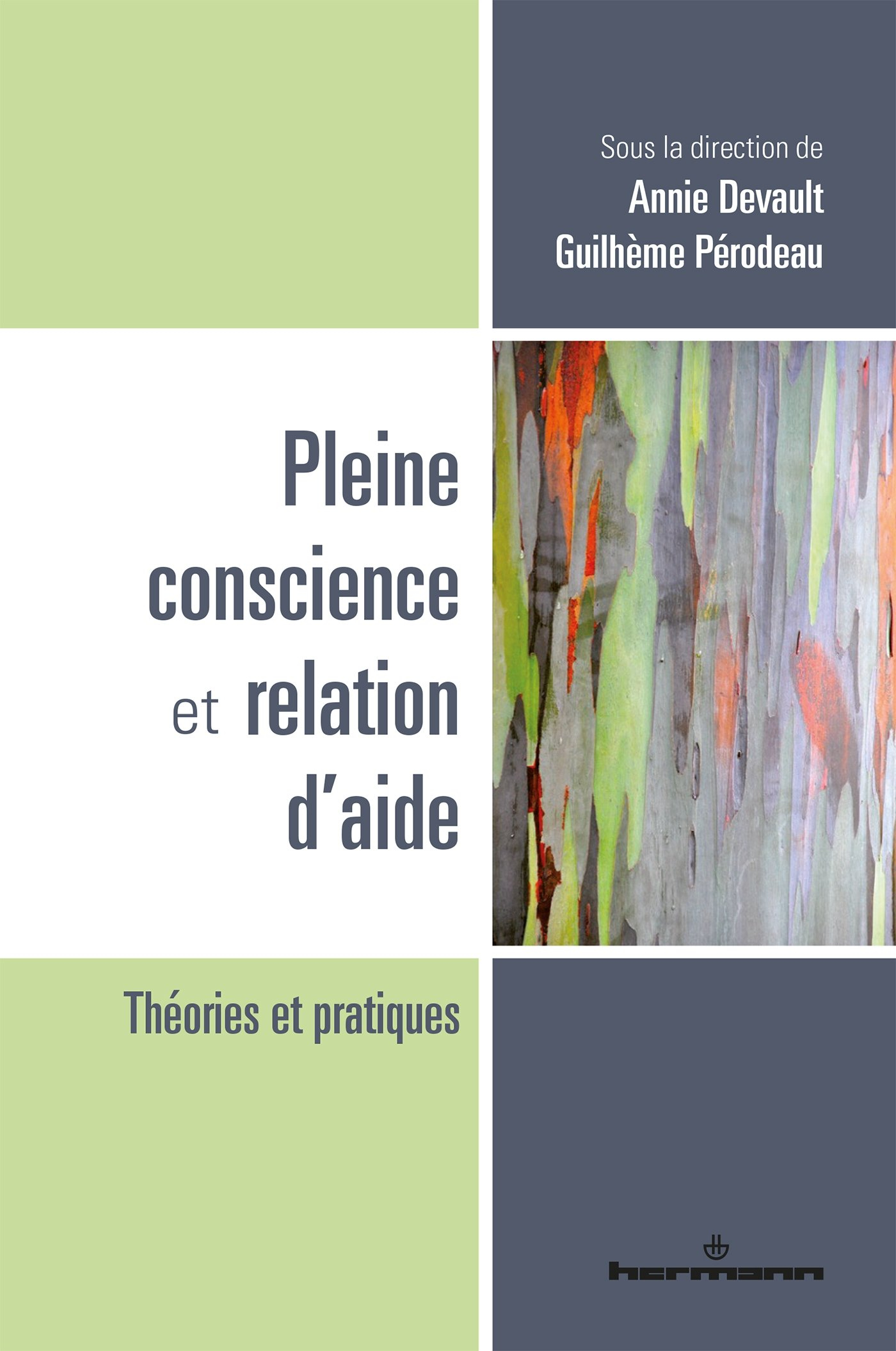 Pleine conscience et relation d'aide : théories et pratiques