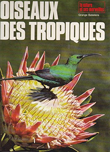 oiseaux des tropiques