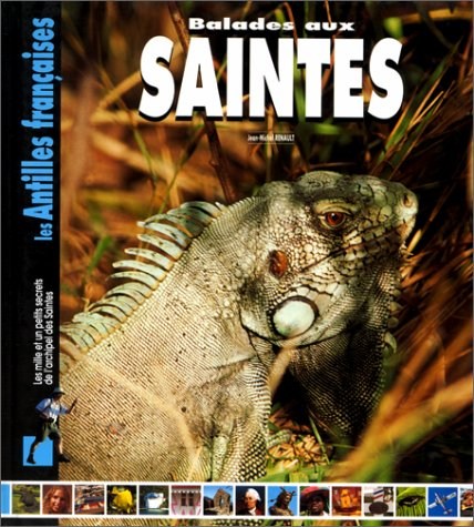 Balades aux Saintes : les mille et un petits secrets de l'archipel des Saintes
