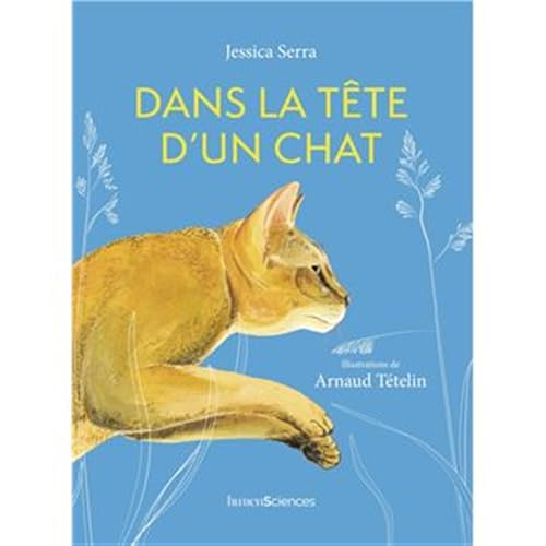 Dans la tête d'un chat