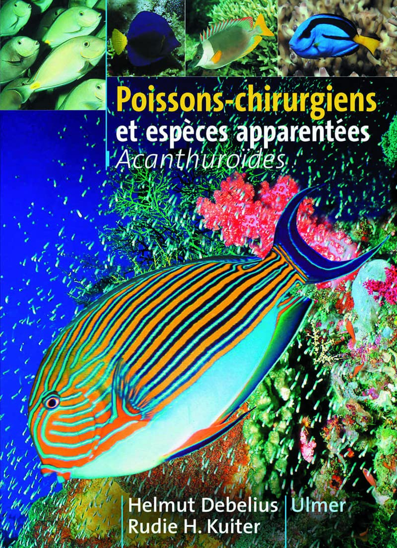 Poissons-chirurgiens et espèces apparentées : acanthuroïdes